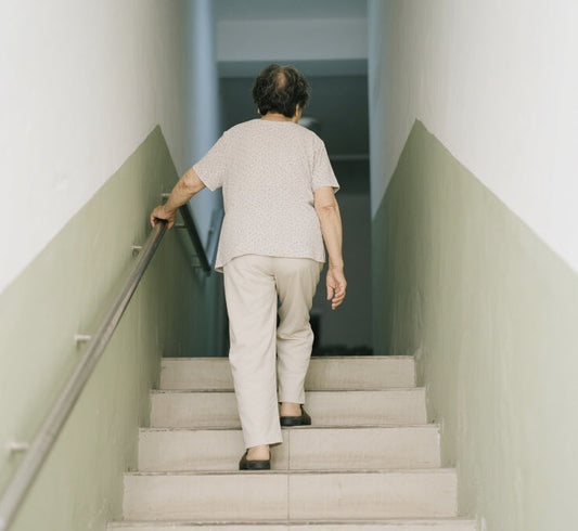 From Imperial Formula to Modern TCM Innovation: How Guilu Zishen Wan Help Seniors Achieve 10,000 Steps a Day