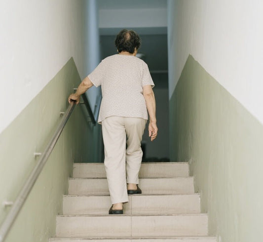 From Imperial Formula to Modern TCM Innovation: How Guilu Zishen Wan Help Seniors Achieve 10,000 Steps a Day - BaoFuLing Online Store