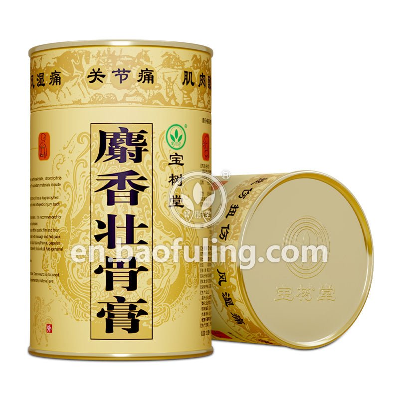 Musk Medicated Plaster(Fast - Acting Relief for Muscle Aches, Joint Pain, Rheumatism & Arthritis) - BaoFuLing Online Store