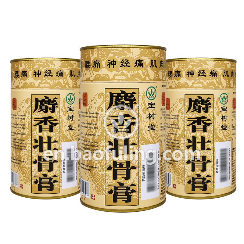 Musk Medicated Plaster(Fast - Acting Relief for Muscle Aches, Joint Pain, Rheumatism & Arthritis) - BaoFuLing Online Store