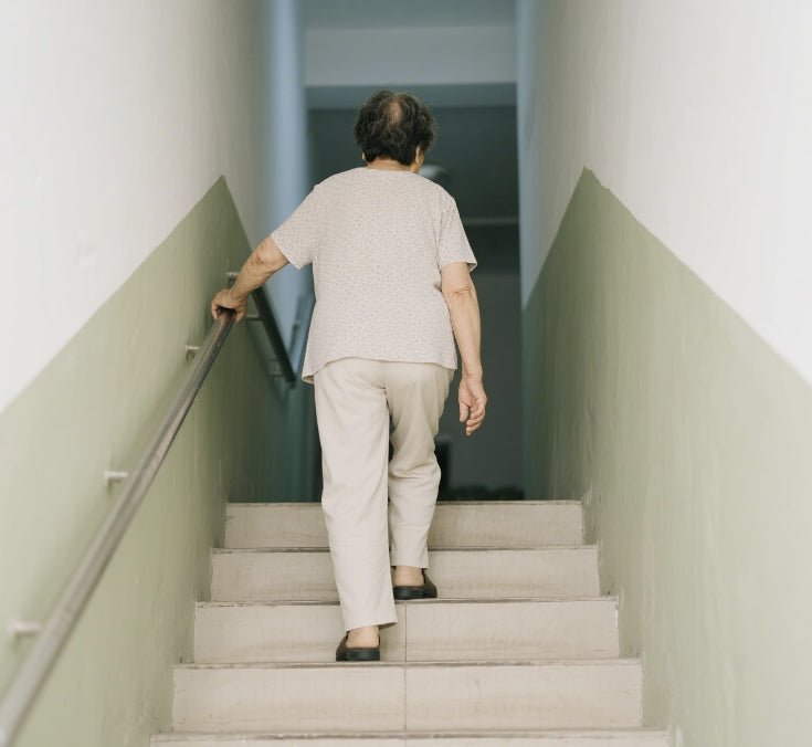 From Imperial Formula to Modern TCM Innovation: How Guilu Zishen Wan Help Seniors Achieve 10,000 Steps a Day - BaoFuLing Online Store